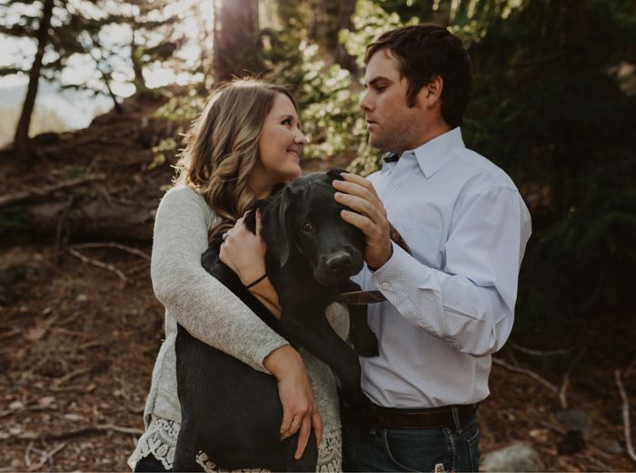 Engagement shoot and your pets 7