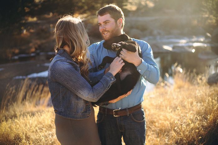 Engagement shoot and your pets 8