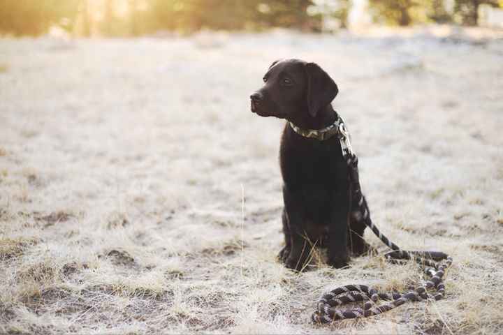 How are you avoiding planning burnout? - 1