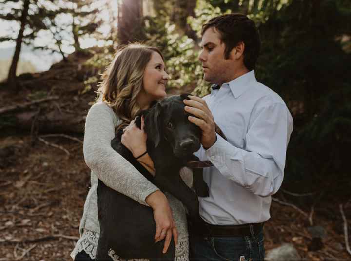 Engagement shoot and your pets - 1