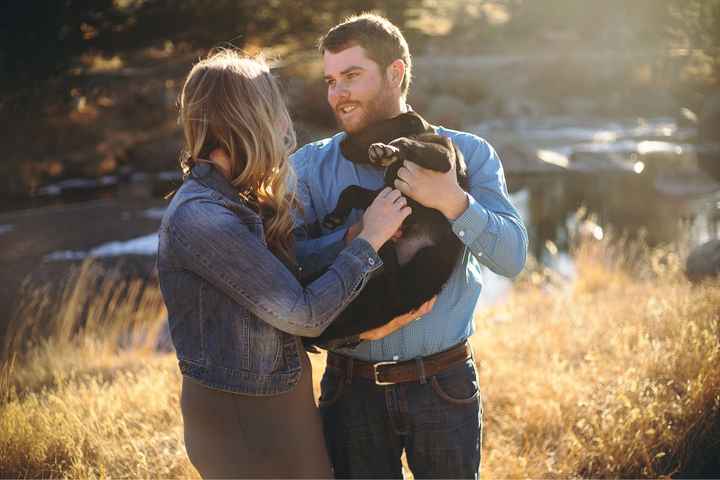 Engagement shoot and your pets - 2