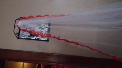 I got my veil and it's the wrong color!
