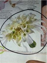 Where are all my August 20, 2011 Brides!!!!!