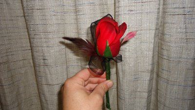 DIY flowers..  Pics!