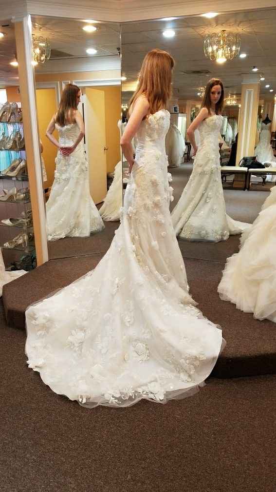 Do I Say Yes to the Discontinued Dress?