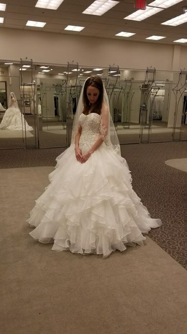 Do I Say Yes to the Discontinued Dress?