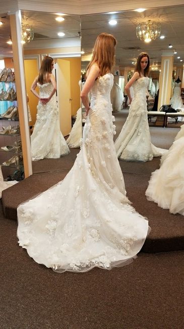 Do I Say Yes to the Discontinued Dress?