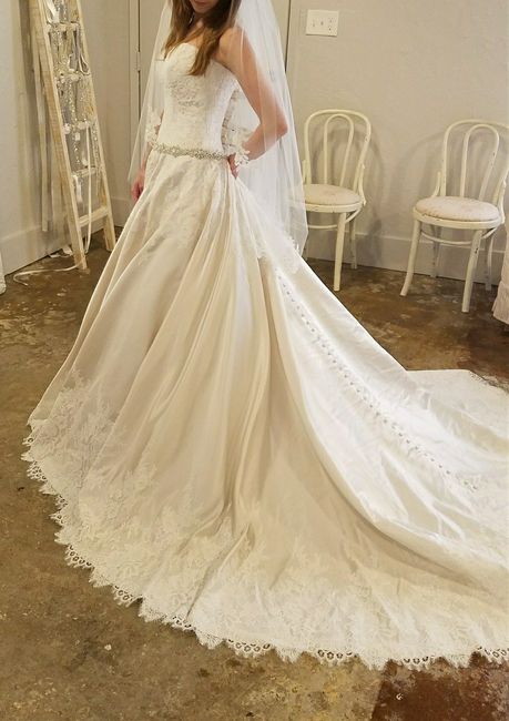 The dress... FITS