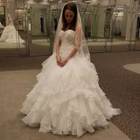 Do I Say Yes to the Discontinued Dress?