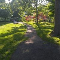 Chairs at our reception