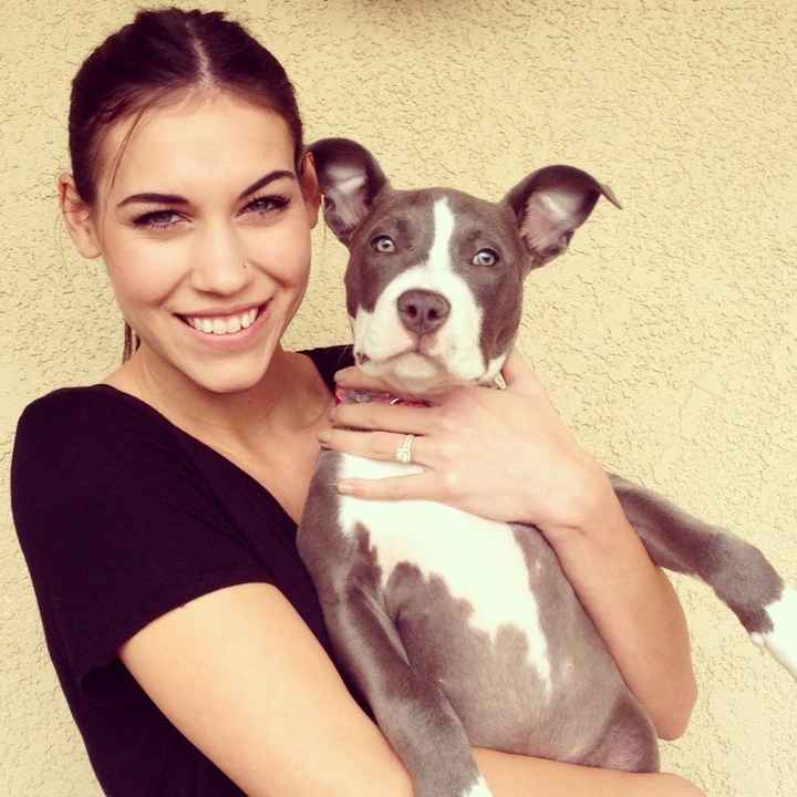 NWR: Pet Post
