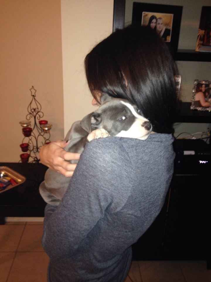 NWR: Our New FurBaby!! *PiCS*