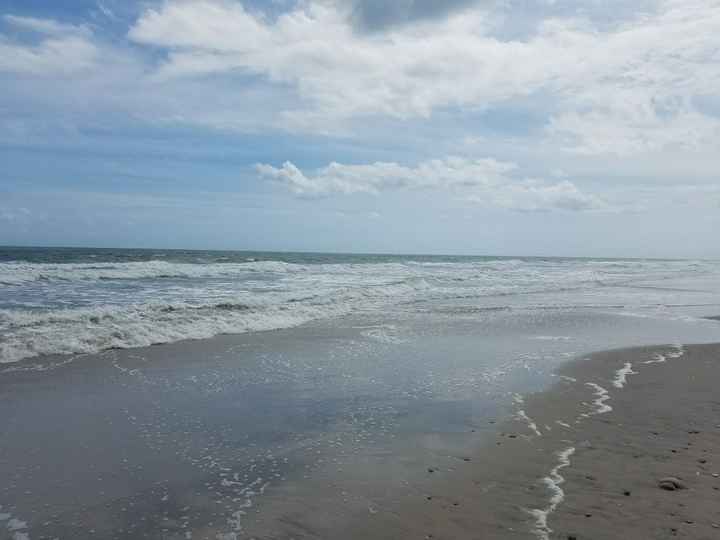 Can't live here anymore...