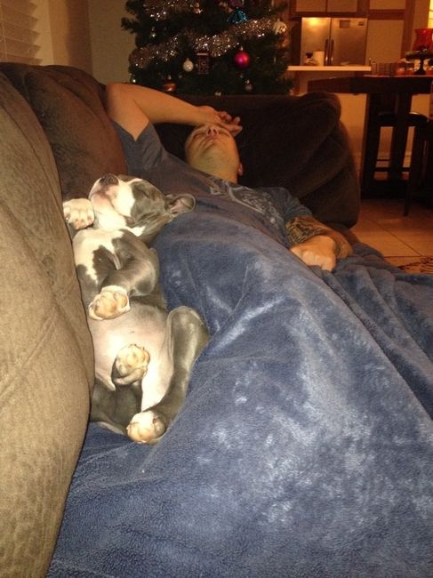 NWR: Pet Post