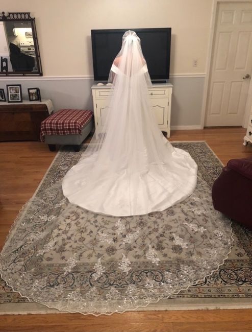Let me see your veils! 1
