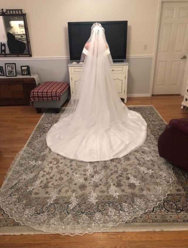 Let me see your veils! - 1