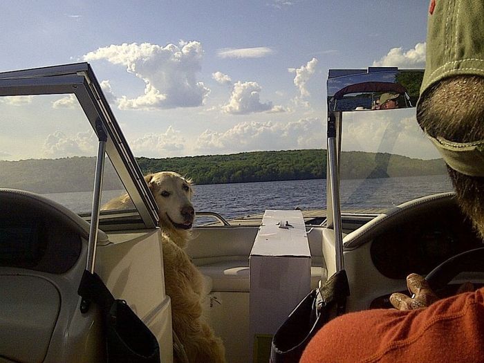 NWR: Lets See Your Fur Babies!