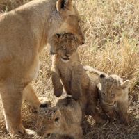 Off the beaten path honeymoon