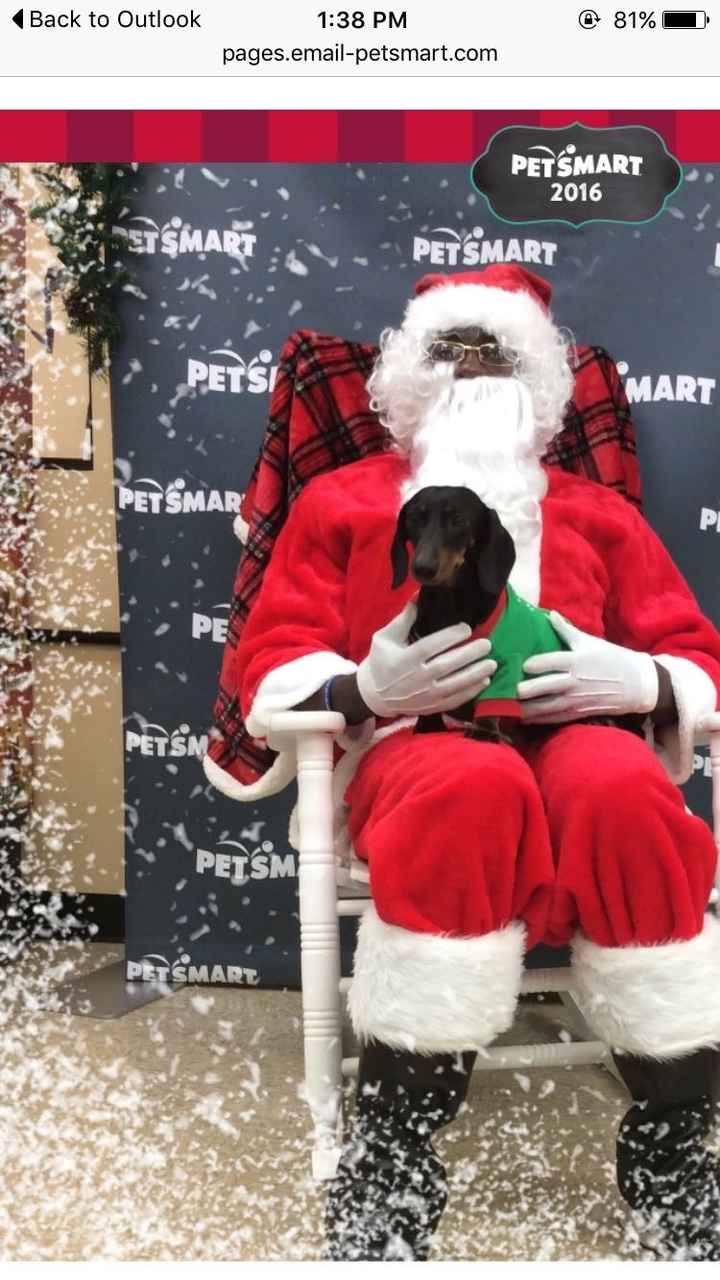 NWR: Show me your holiday spirit pets!