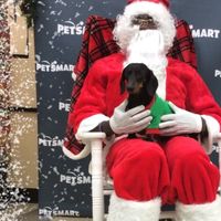 NWR: Show me your holiday spirit pets!