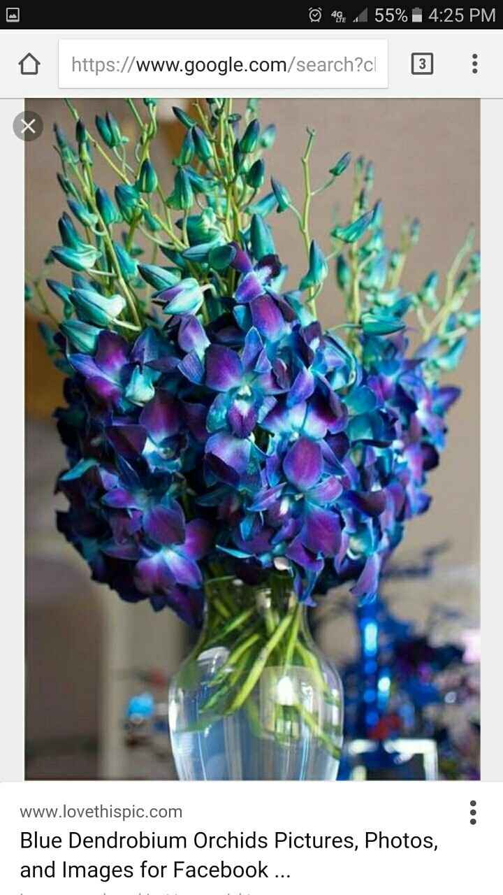 Dendrobium Orchids Blue