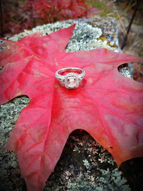 Show me the Ring!💍 - 1