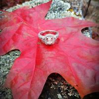 Show me the Ring!💍 - 1