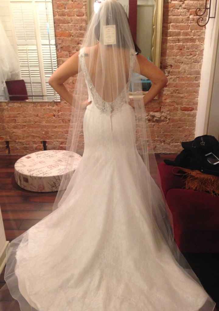 Veil Advice needed.