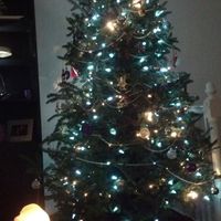 NWR: show us your xmas tree