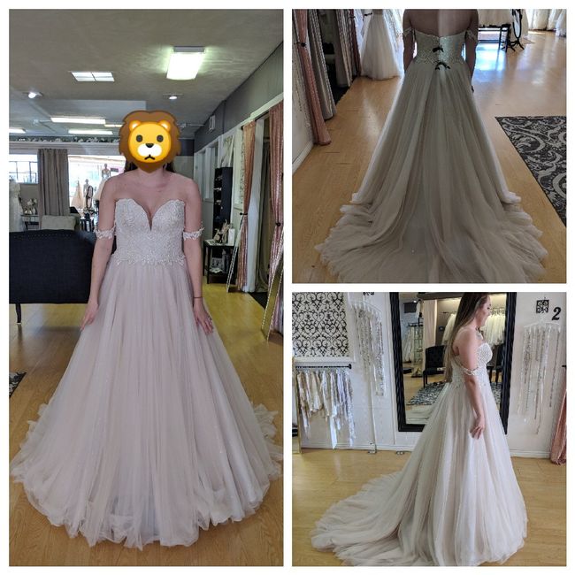 Dress opinions?! Pics included 1