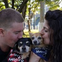 Including your dogs/pets without them being there - 1