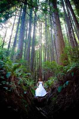Any suggestions for walking down a dirt-path "aisle" in the forest with a train?