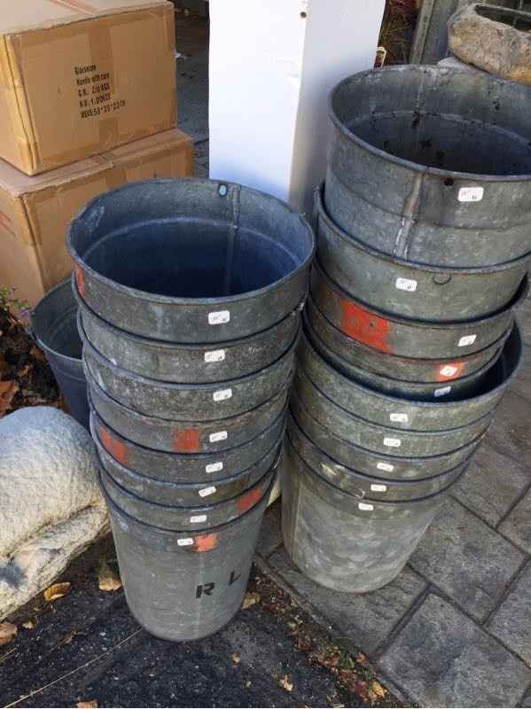Rustic Bucket Hunt: Update-SUCCESS