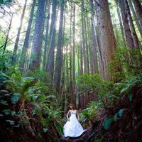 Any suggestions for walking down a dirt-path "aisle" in the forest with a train?