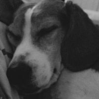 Spinoff: Show us your rescues!