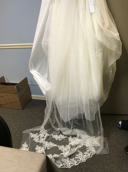 Unsure on veil - 1