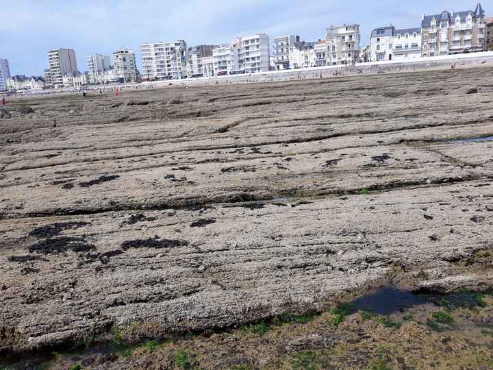 Where is everyone going for their honeymoon? - 24