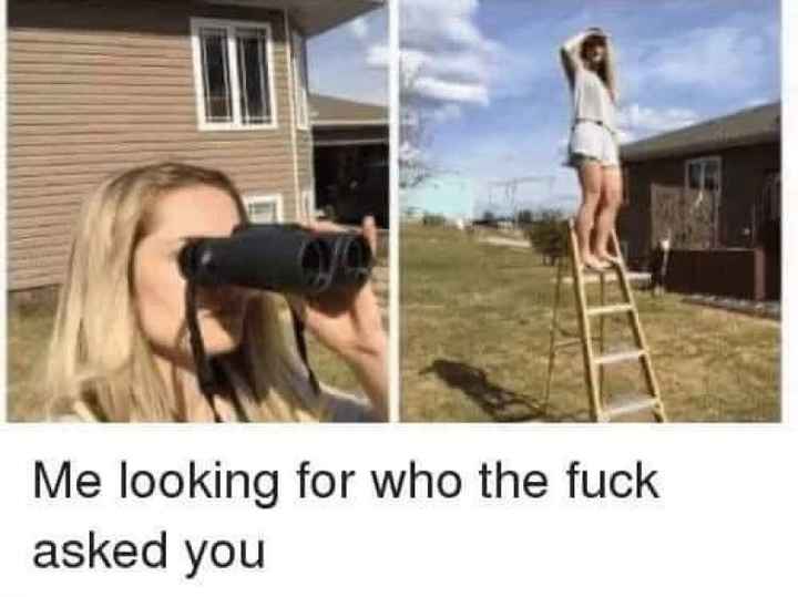 NWR - What's the last meme you saved?