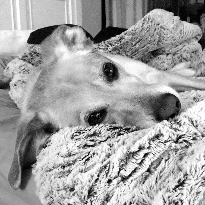 NWR- let me see your fur babies, awake and scared