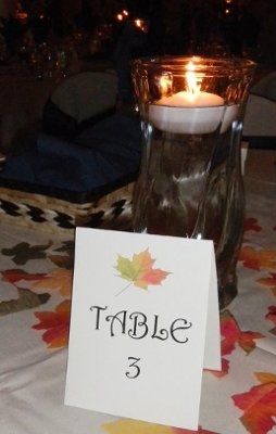 Looking for centerpiece/theme advice?