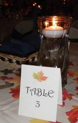 Looking for centerpiece/theme advice?