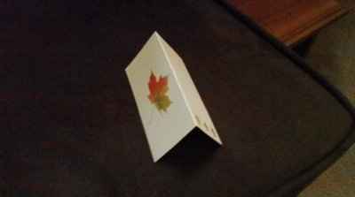 Extra Place Cards if anyone is interested