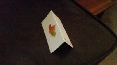 Extra Place Cards if anyone is interested