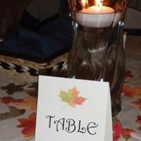 Looking for centerpiece/theme advice?