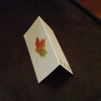 Extra Place Cards if anyone is interested