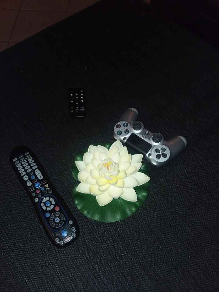 My pool floaters. Bought 18 to go in the pool. Love them.