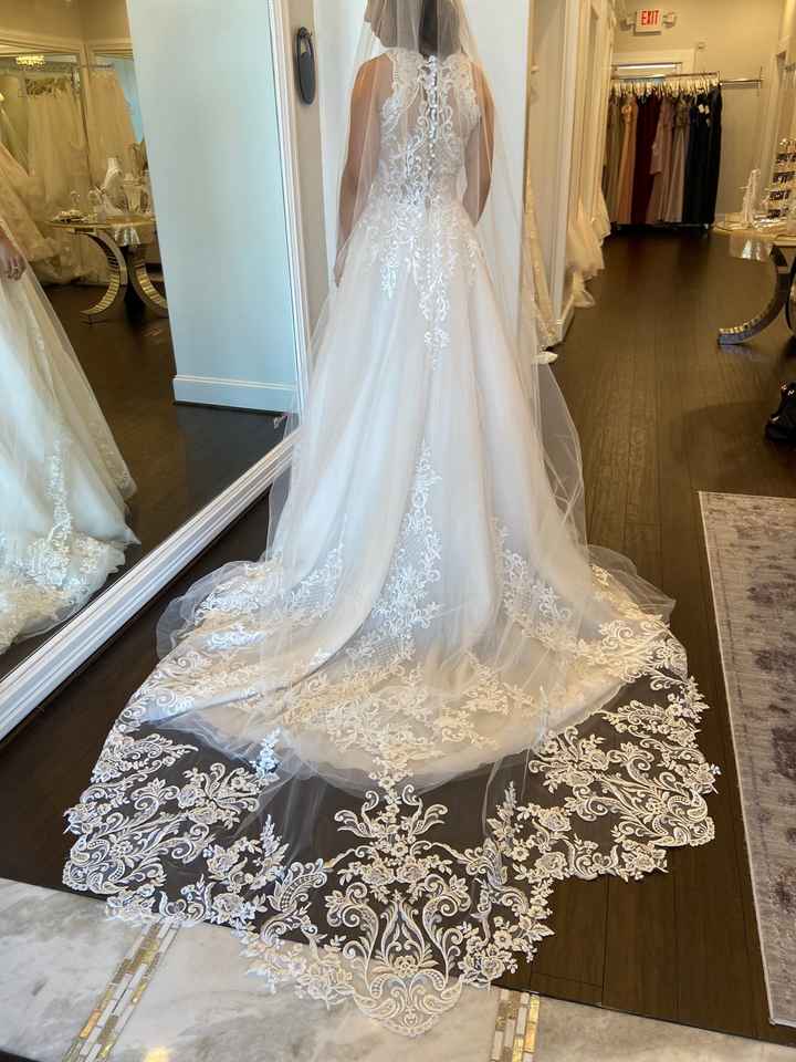 Update: Picked up my dress and it fit perfectly!! - 3