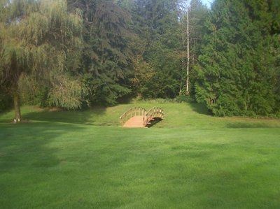 Outside decor.. too much?? (Pics)