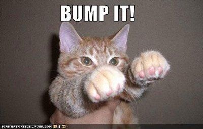 Carmen!!!!  What happenned with your furbabies???