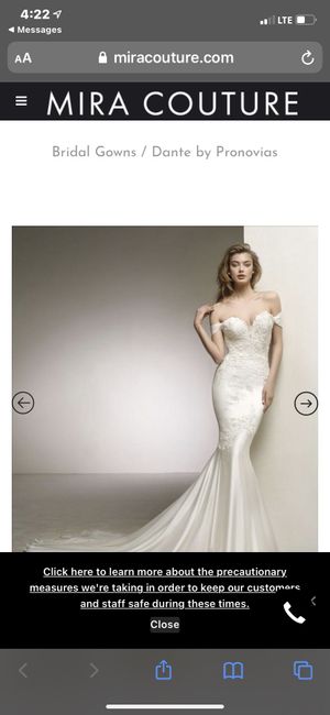 Strapless dress/sleeves - 1